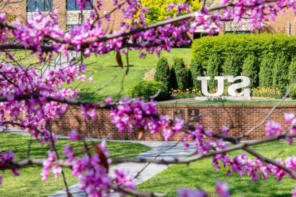 Shenandoah University "SU" statue, with pink/purple tree blossoms in foreground.